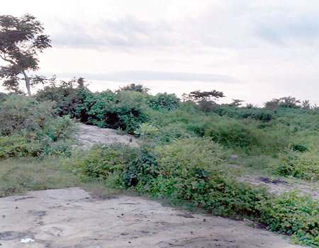 Akure: 10,000-seater stadium turned cattle grazing field, criminal haven, dumpsite