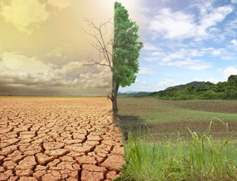 ‘Cool Coalition’ to save lives, trillions for global economy