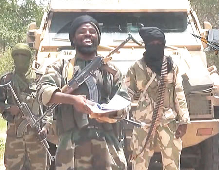 boko haram, amnesty