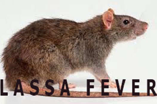 Lassa fever
