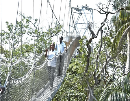 Lekki Conservation Centre