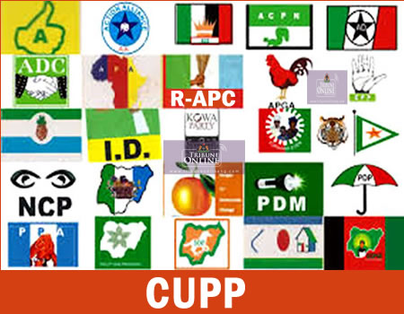 IGP CUPP